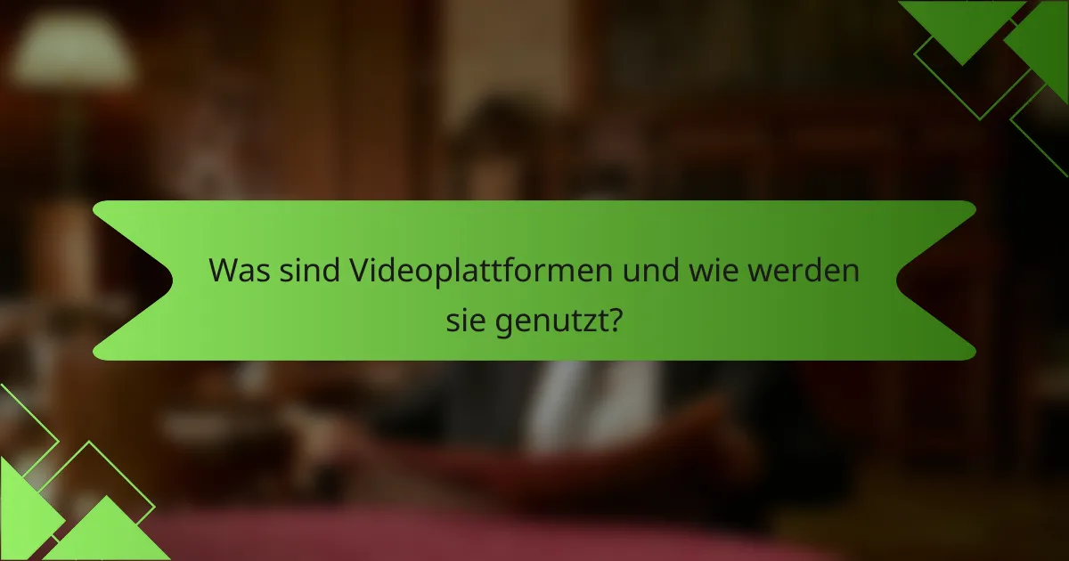 Was sind Videoplattformen und wie werden sie genutzt?