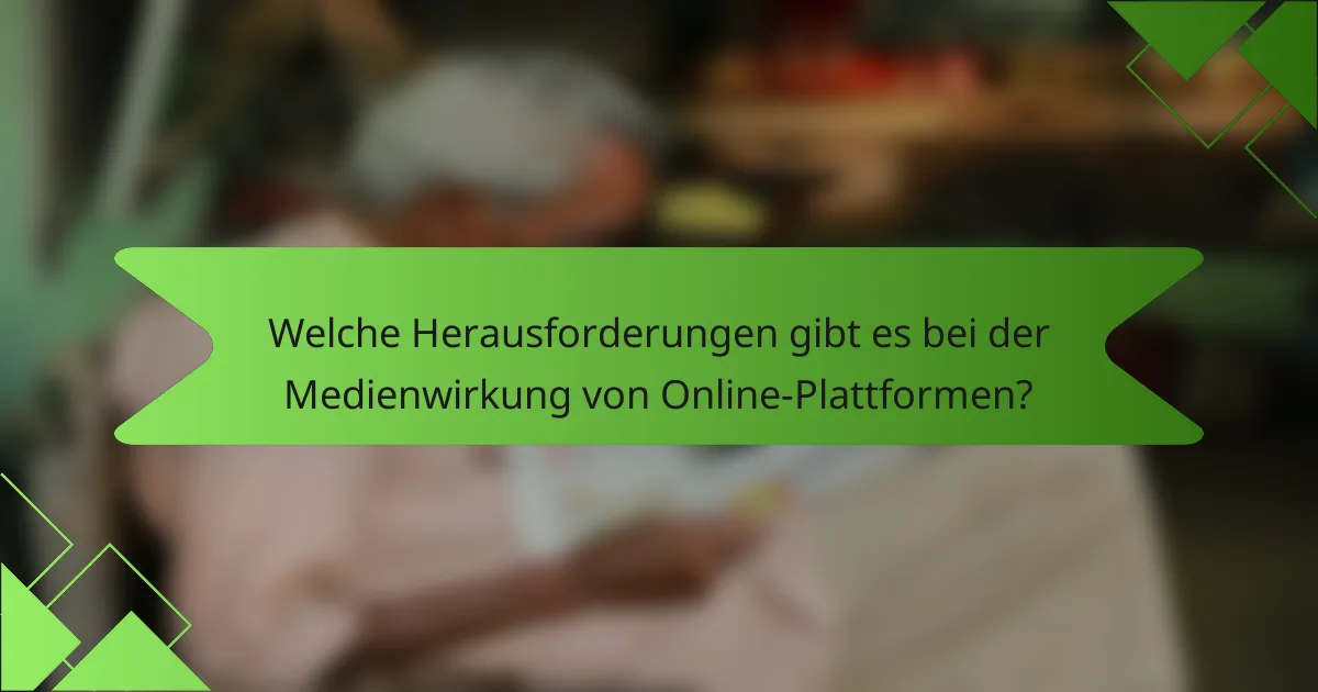 Welche Herausforderungen gibt es bei der Medienwirkung von Online-Plattformen?