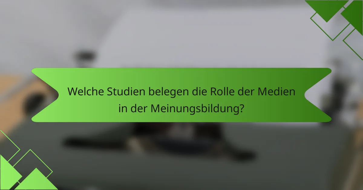 Welche Studien belegen die Rolle der Medien in der Meinungsbildung?