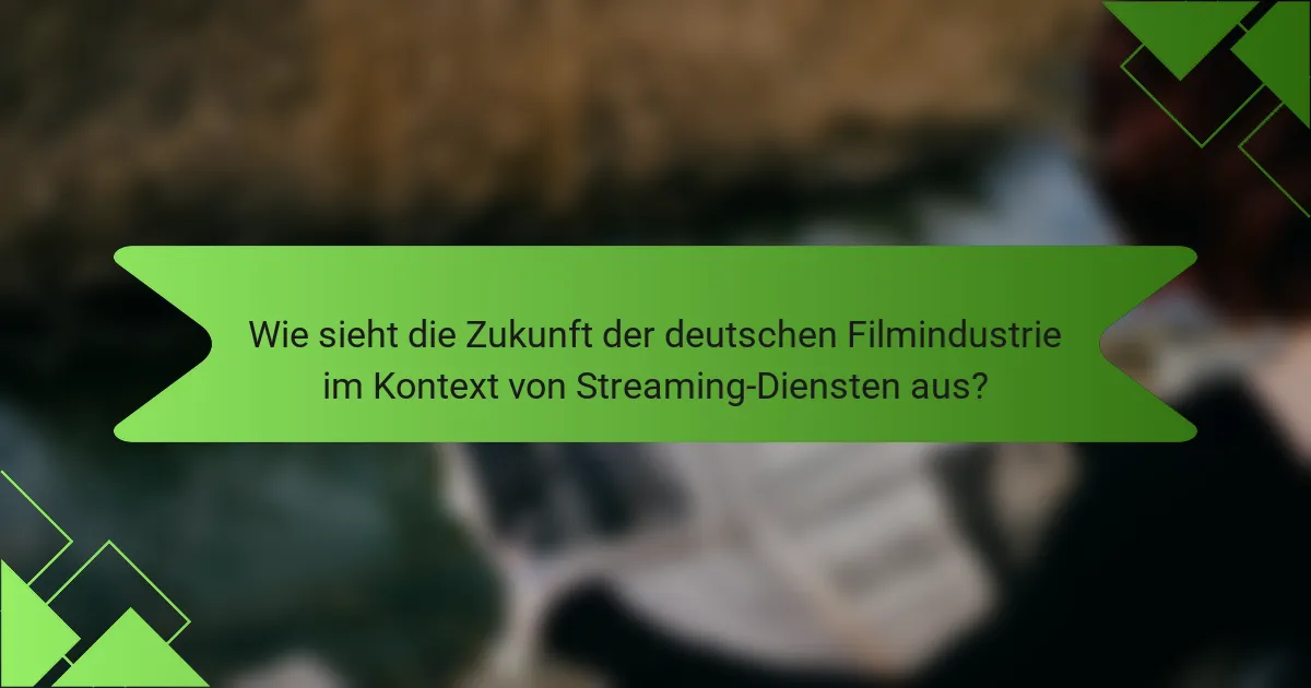 Wie sieht die Zukunft der deutschen Filmindustrie im Kontext von Streaming-Diensten aus?